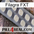 Filagra FXT 08